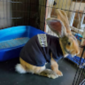 Meet your Posher, Steph